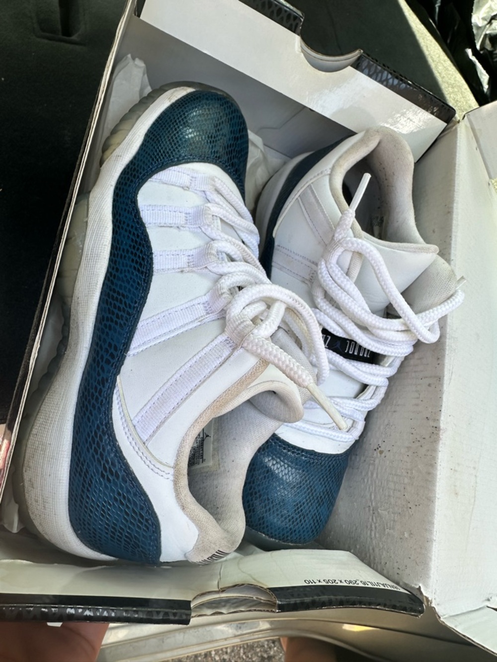 Jordan Women’s Low Top Sneakers White and Teal Snake-Texture